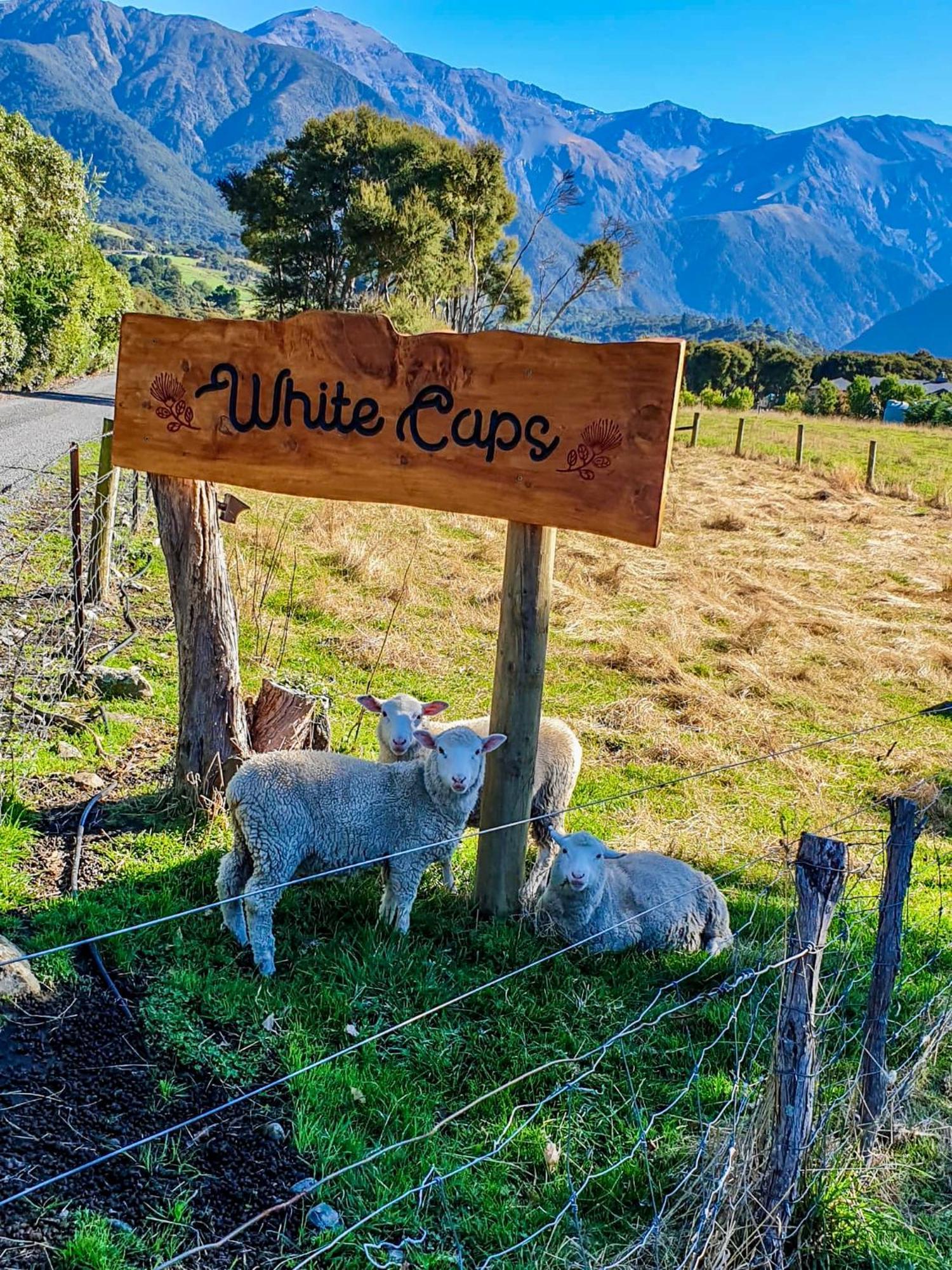 White Caps Kaikoura Farmstay Esterno foto